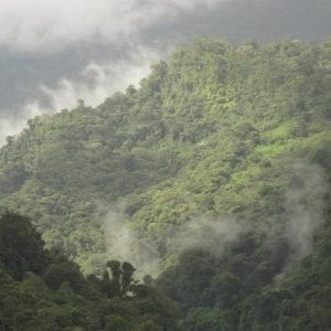 Private Jungle Adventure With Horseback Ride