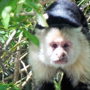 Private Safari Floating Trip At Pe?as Blancas River