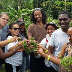 Private Transfer to Arenal from San Jose Including Coffee Plantation and La Paz Waterfall Tour