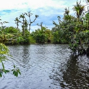 Pure Nature Safari Float Adventure