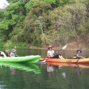 River Kayak Wildlife and Mangrove Observation