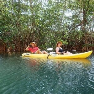 Samara Beach Wildlife and Mangrove Kayaking Tour