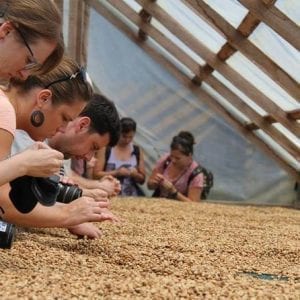 San Jose to La Fortuna Transfer with Waterfall, Coffee and Nature Reserve Tour