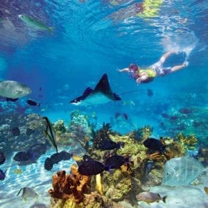 San Juanillo Beach Snorkel Marine Wildlife Tour at Nosara in Guanacaste