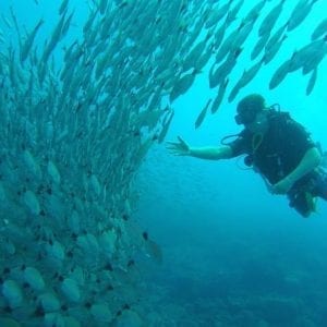 Scuba Diving At Playa Hermosa, Coco And Ocotal Beach