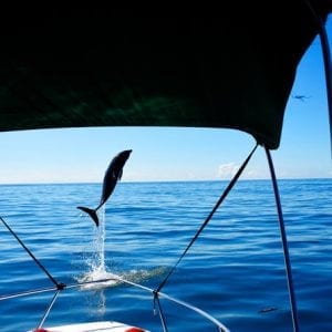 Sea Life Adventure Tour