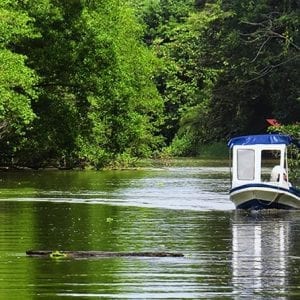 Shore Excursion: Caribbean Highlights Tour From Limon