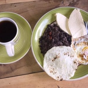 Sustainable Farm Tour And Breakfast