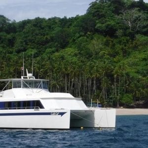 Tortuga Island Catamaran Tour