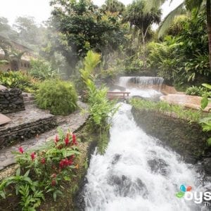 Tours Arenal Volcano with Tabacon Hot Springs