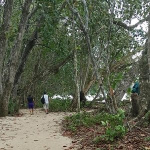 Tree Of Life Rescue Center And Cahuita National Park