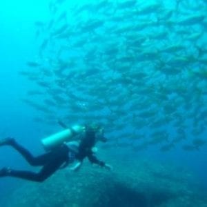 Two-Tank Dive At Ca?o Island