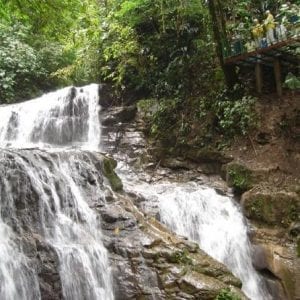 Veragua Full Plus Tortuguero Canals Tour