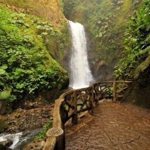 Waterfall Gardens plus Dota coffe tour