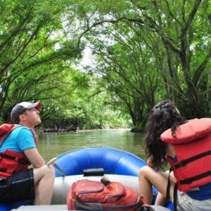 Wild Life Safari Float
