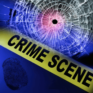 El Escape Bus - Cartel Murders