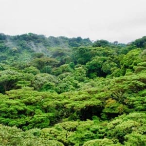 ECOLOGICAL AWARENESS CENTER