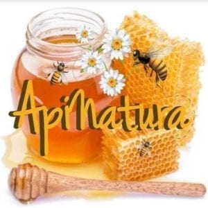 BEE FARM TOUR through Reserve Natural Tocor?/Manuel Antonio Bee Farm