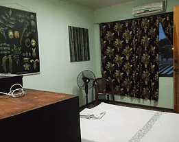 Hotel Papa's Papalotes