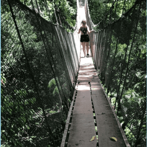 Rainmaker Tour with Chana Tours