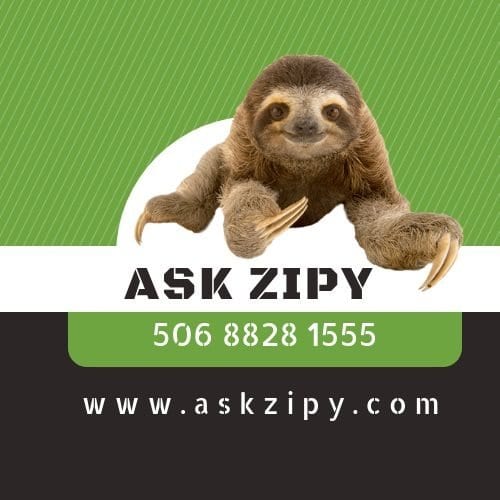 Ask Zipy Services