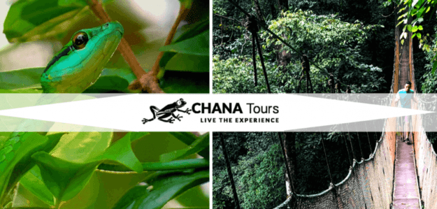 Chana Tours