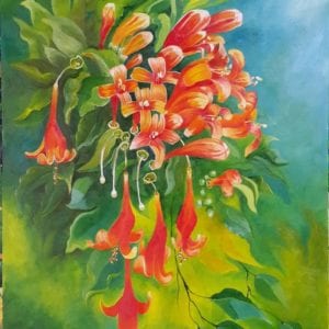 flores de enredadera