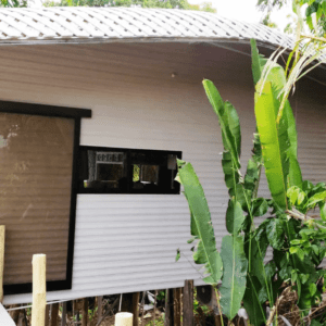Tarzan Family Treehouse Pool + AC