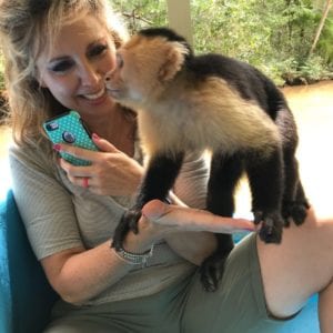 Macha mangrove boat tour