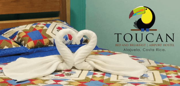 Toucan Hostel Bed and Breakfast