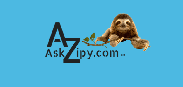 Ask Zipy Services