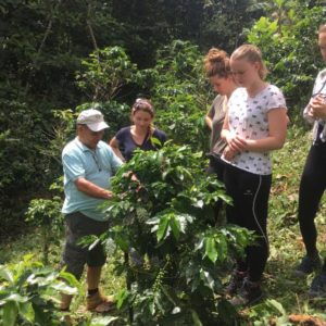 La Gran Vista Agro Ecological Farm Tour
