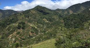 Cerro Chirrip?, San Gerardo de Rivas Route: 4 Days, 3 Nights