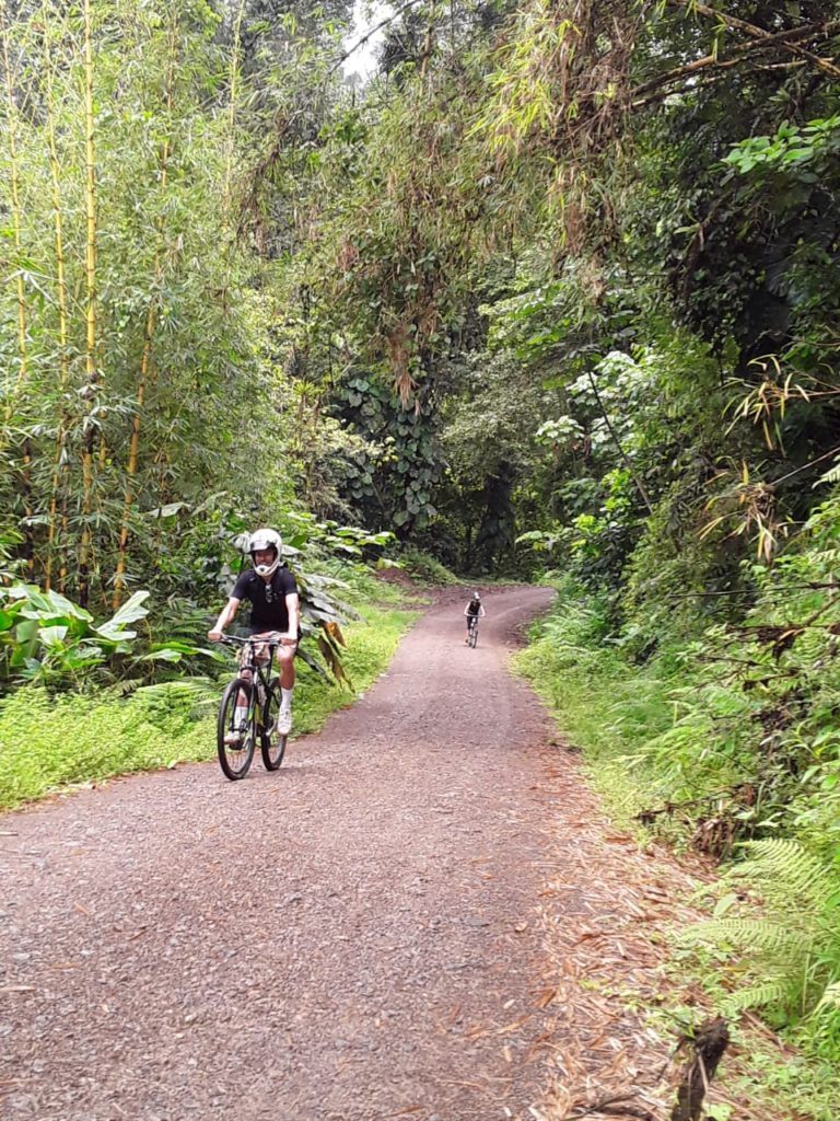 Adrenaline Bike Tour - Image 3