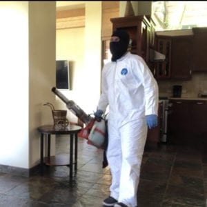 Home or Office Fumigation Services