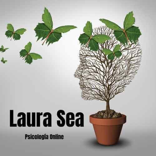 Laura Sea Psicología: Consulta en Línea