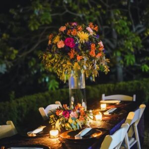 Alma Viva Rental Free Initial Consultation