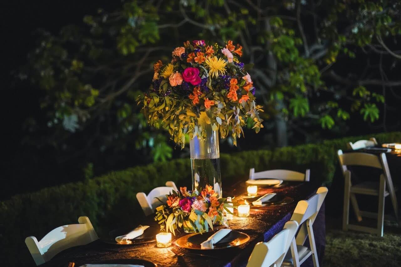 Alma Viva Rental Free Initial Consultation