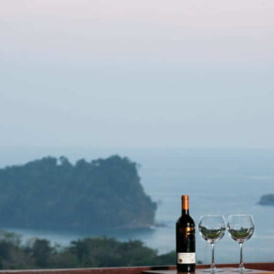 House rental with the best views of Manuel Antonio wine glass wine bottle