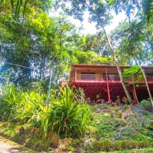 Casa Cascada Manuel Antonio Puntarenas in the Jungle nature