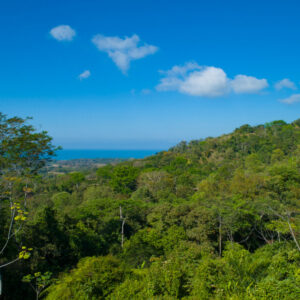 5 Acre Building Lot in Uvita ready To Build on