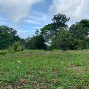4 Lots with Desirable Secure Location in Ojochal