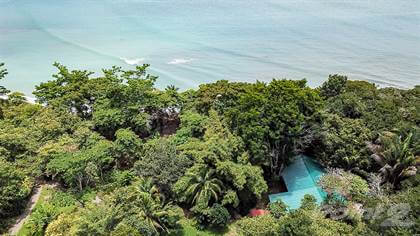 "Off the Grid" Beachfront Rainforest Retreat in the Osa Peninsula