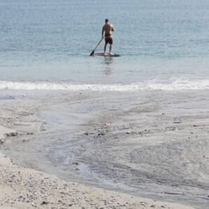 Paddleboard | Biesanz Beach Rental