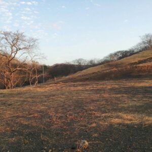 Lot 29 in San Pedro, Cabo Velas District, Guanacaste