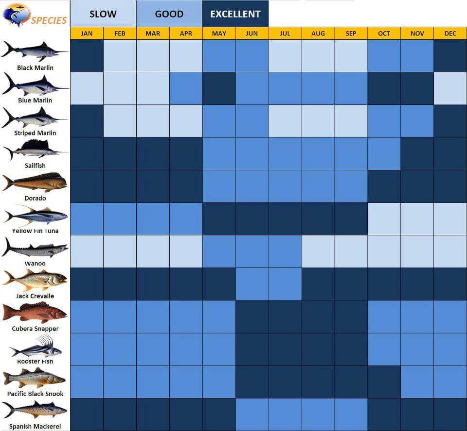 Fishing Chart of Costa Rica